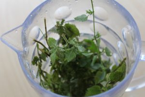 Tea Around the World | Multicultural Kid Blogs