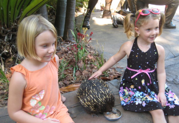 10 Tips for Traveling with Kids - Multicultural Kid Blogs
